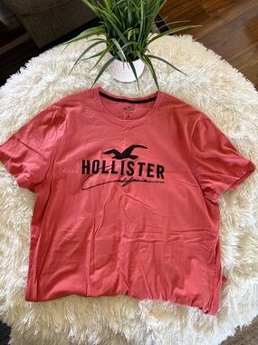 Hollister Logo Tee